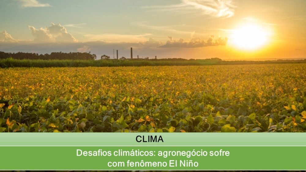 Desafios climáticos: agronegócio sofre com fenômeno El Niño