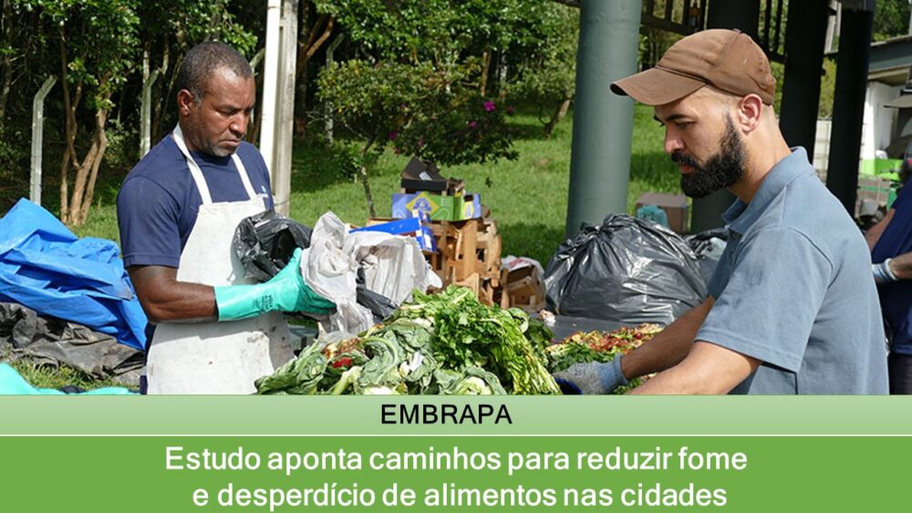 Estudo aponta caminhos para reduzir fome e desperdício de alimentos nas cidades