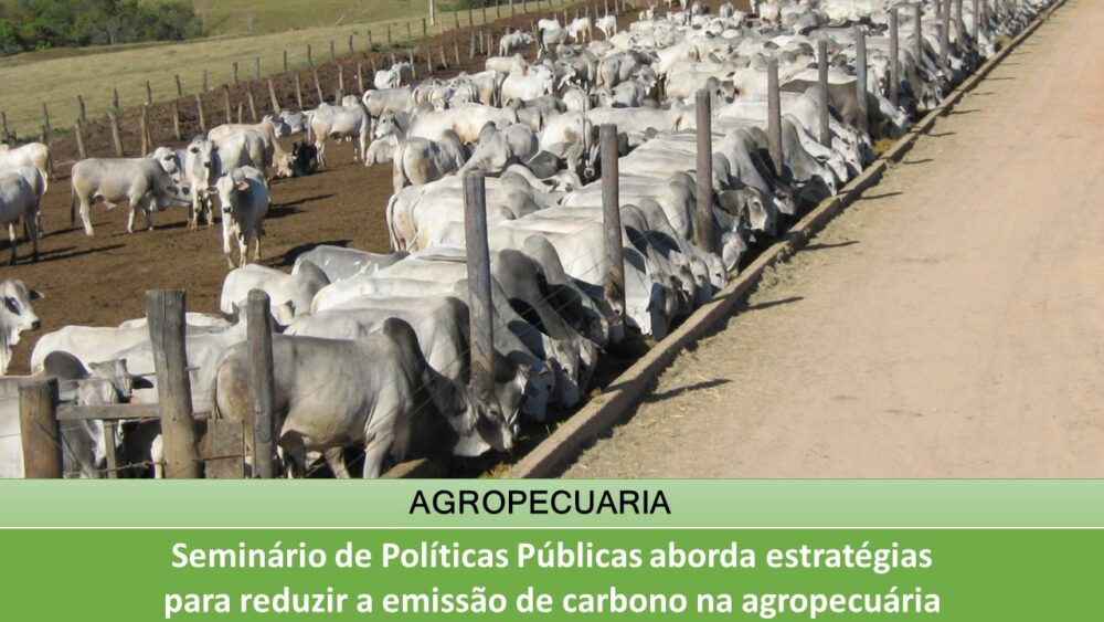 Seminário de Políticas Públicas aborda estratégias para reduzir a emissão de carbono na agropecuária