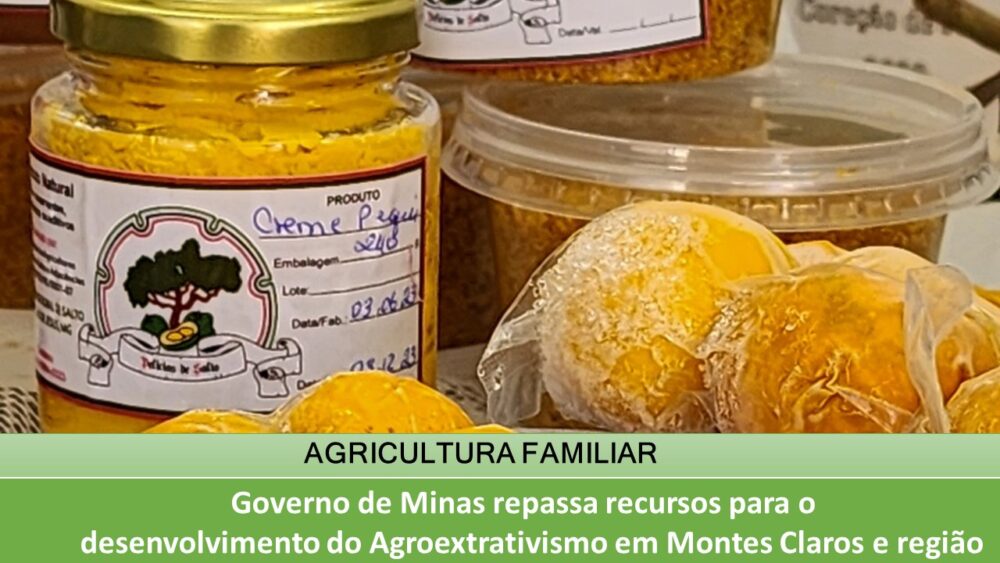 Governo de Minas repassa recursos para o desenvolvimento do Agroextrativismo em Montes Claros e região