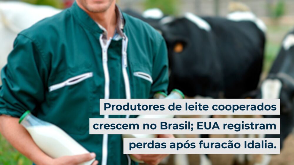 Produtores de leite cooperados crescem no Brasil; EUA registram perdas após furacão Idalia