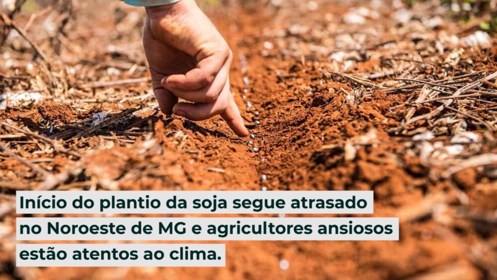 Início do plantio da soja segue atrasado no Noroeste de MG e agricultores ansiosos estão atentos ao clima