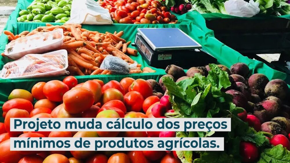 Projeto muda cálculo dos preços mínimos de produtos agrícolas