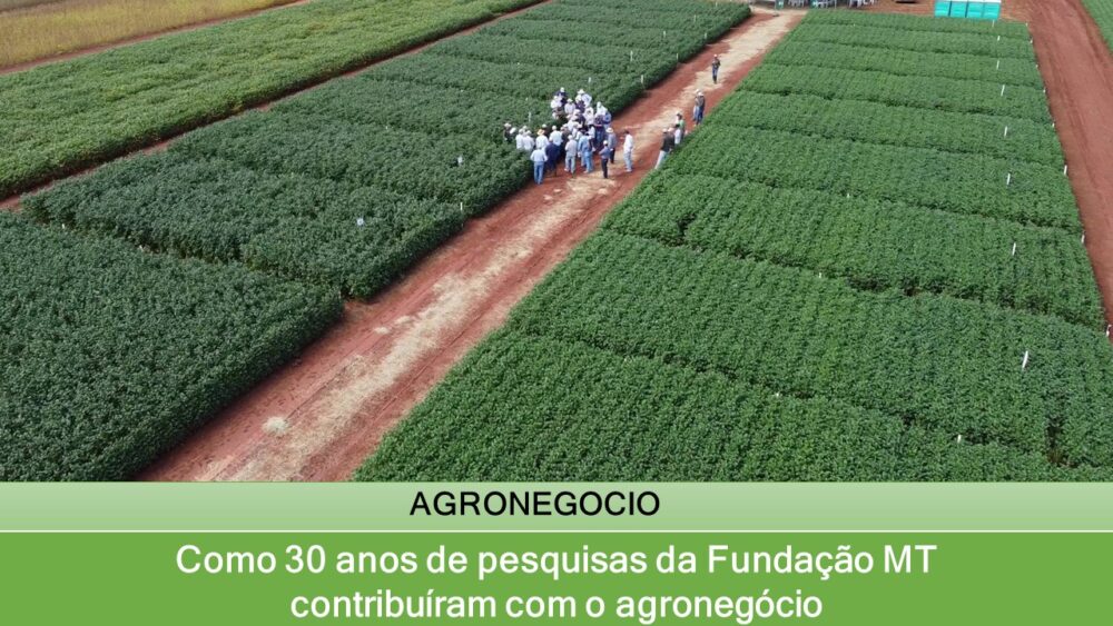 Como 30 anos de pesquisas da Fundação MT contribuíram com o agronegócio