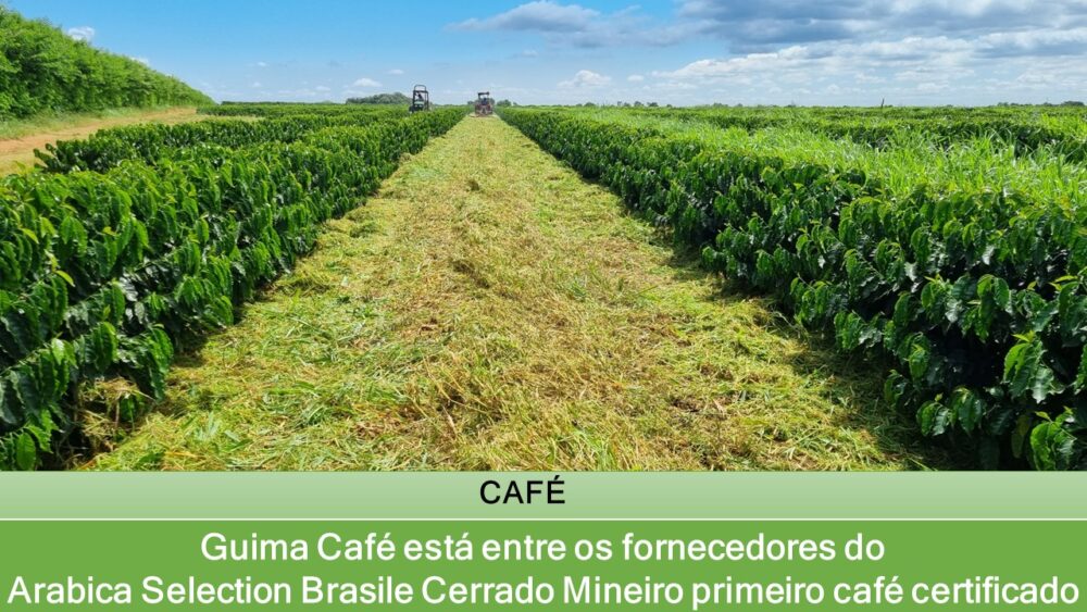 Guima Café está entre os fornecedores do Arabica Selection Brasile Cerrado Mineiro primeiro café certificado Regenagri®