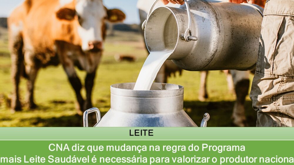 CNA diz que mudança na regra do Programa mais Leite Saudável é necessária para valorizar o produtor nacional