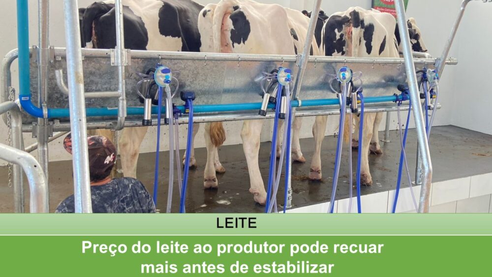 Preço do leite ao produtor pode recuar mais antes de estabilizar