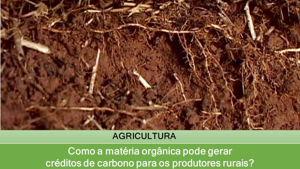 Como a matéria orgânica pode gerar créditos de carbono para os produtores rurais?