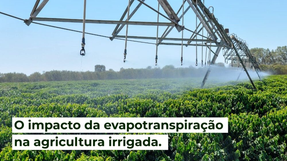 O impacto da evapotranspiração na agricultura irrigada