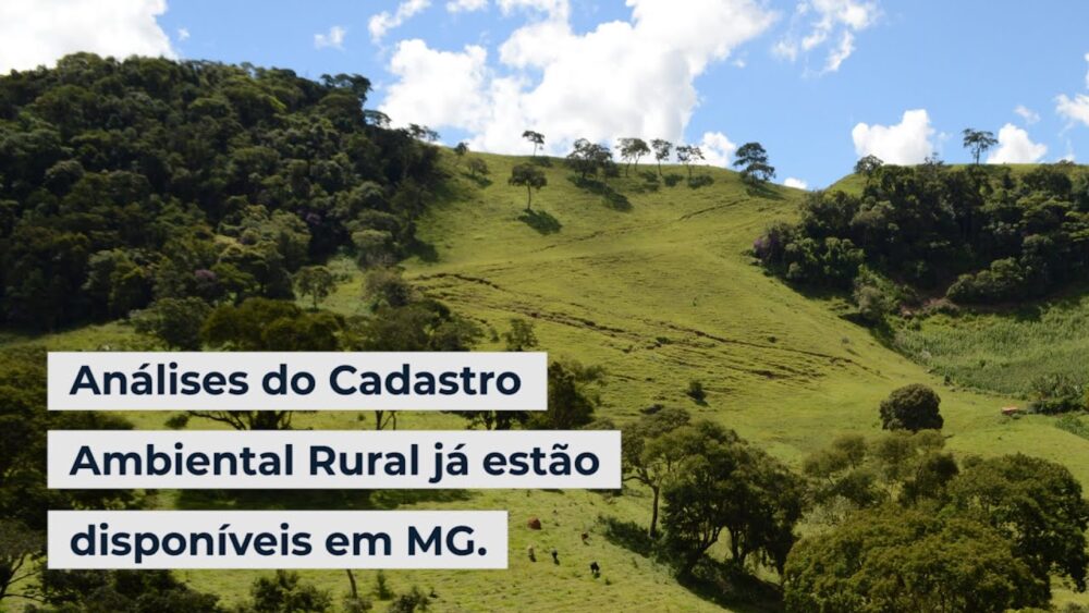 Análises do Cadastro Ambiental Rural já estão disponíveis em MG