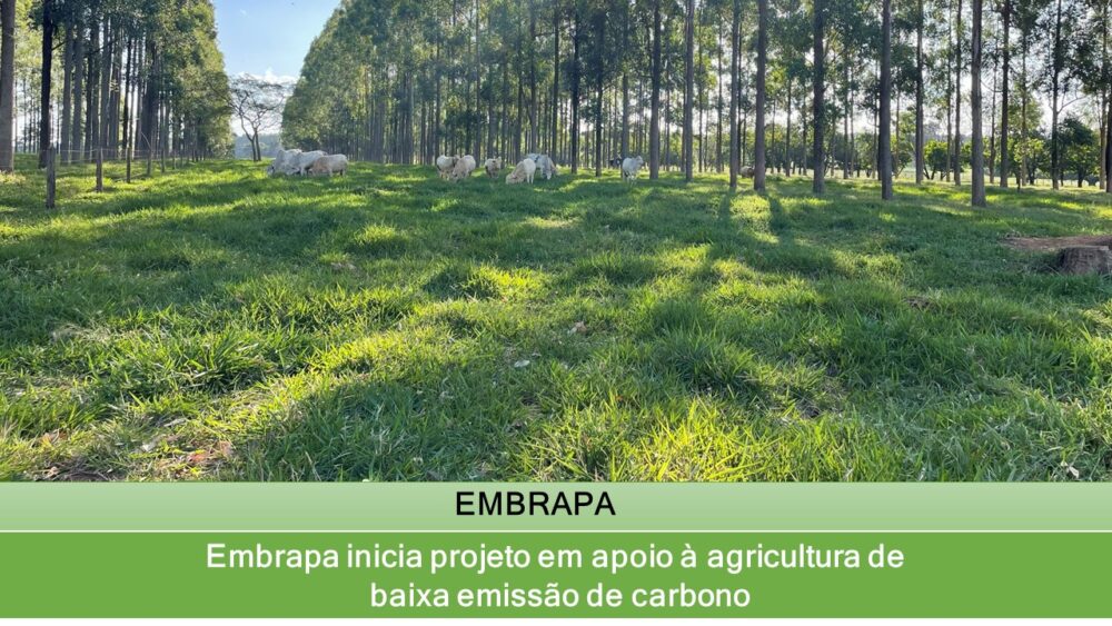 Embrapa inicia projeto em apoio à agricultura de baixa emissão de carbono