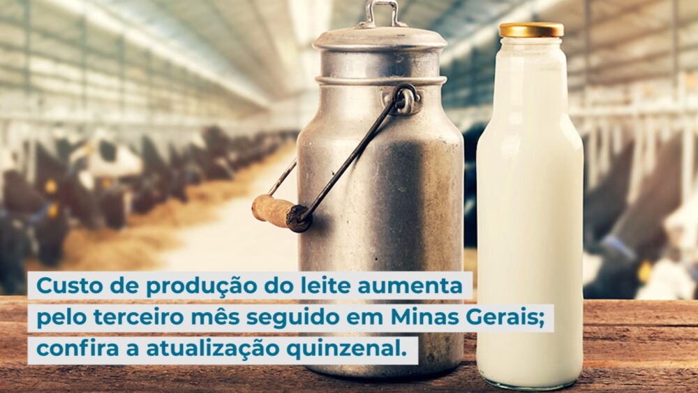 Custo de produção do leite aumenta pelo terceiro mês seguido em Minas Gerais; confira a atualização quinzenal