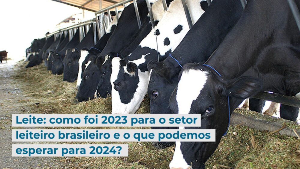 Leite: como foi 2023 para o setor leiteiro brasileiro e o que podemos esperar para 2024?