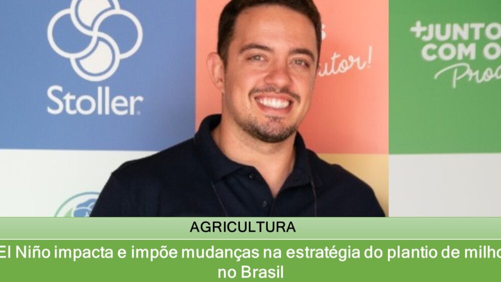 El Niño impacta e impõe mudanças na estratégia do plantio de milho no Brasil