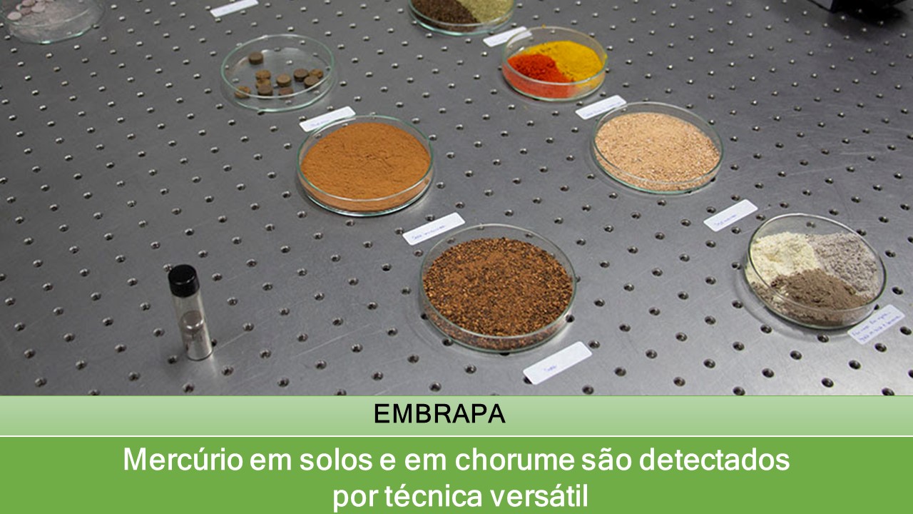 Mercúrio em solos e em chorume são detectados por técnica versátil
