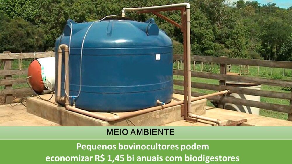 Pequenos bovinocultores podem economizar R$ 1,45 bi anuais com biodigestores