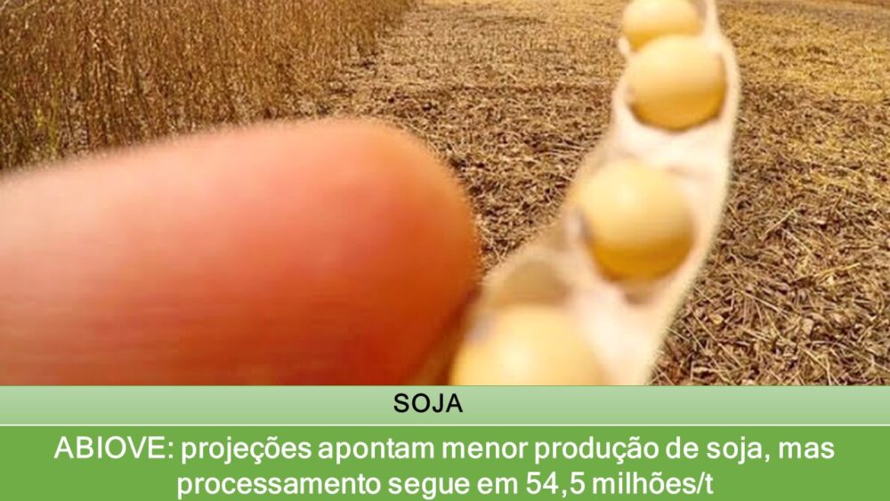 ABIOVE: projeções apontam menor produção de soja, mas processamento segue em 54,5 milhões/t