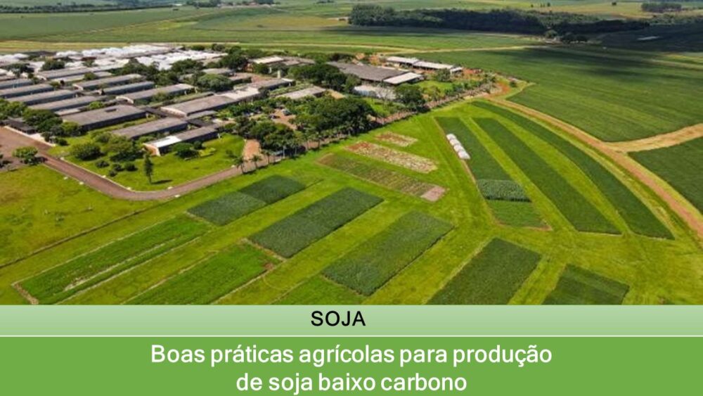 Boas práticas agrícolas para produção de soja baixo carbono