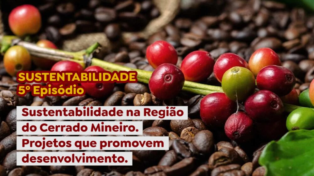 Sustentabilidade na Região do Cerrado Mineiro - 5º ep - projetos que promovem desenvolvimento