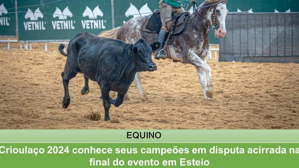 Crioulaço 2024 conhece seus campeões em disputa acirrada na final do evento em Esteio