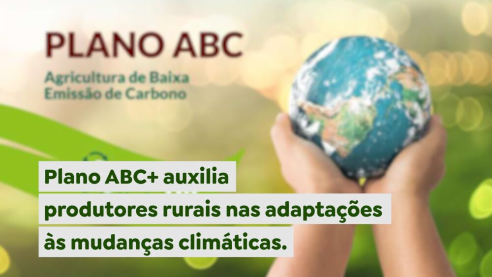 Plano ABC+ auxilia produtores rurais nas adaptações às mudanças climáticas