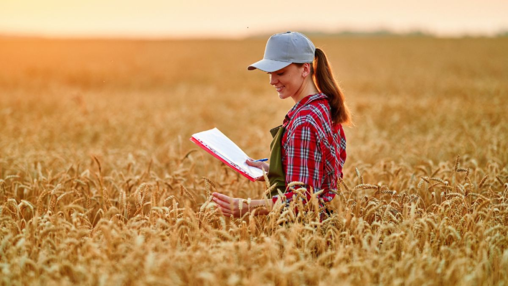 Pesquisa da ABAG mapeia prioridades de inovação e competividade no agronegócio