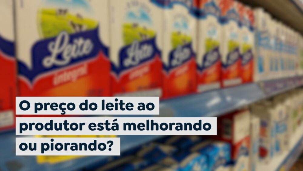 O preço do leite ao produtor está melhorando ou piorando?