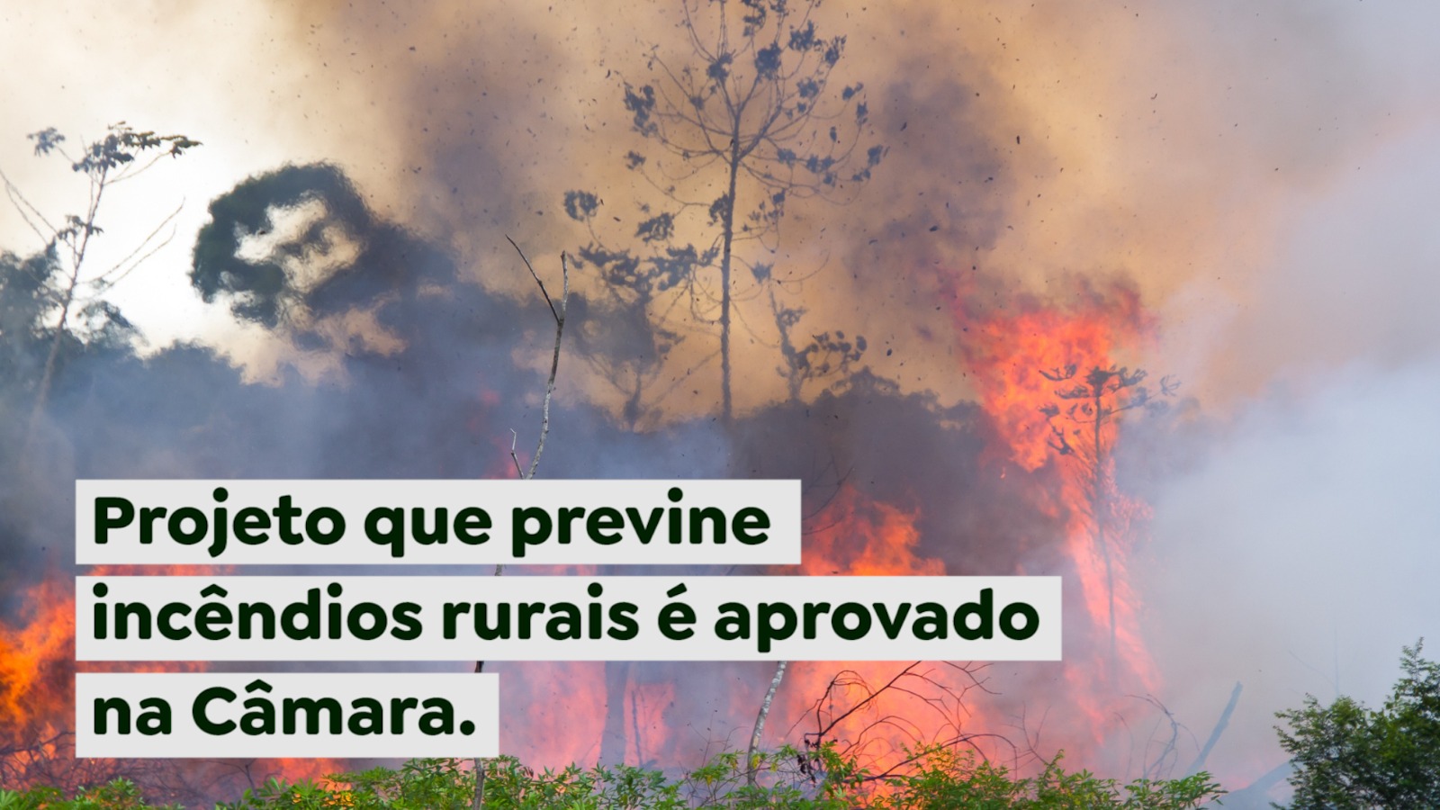 Projeto que previne incêndios rurais é aprovado na Câmara