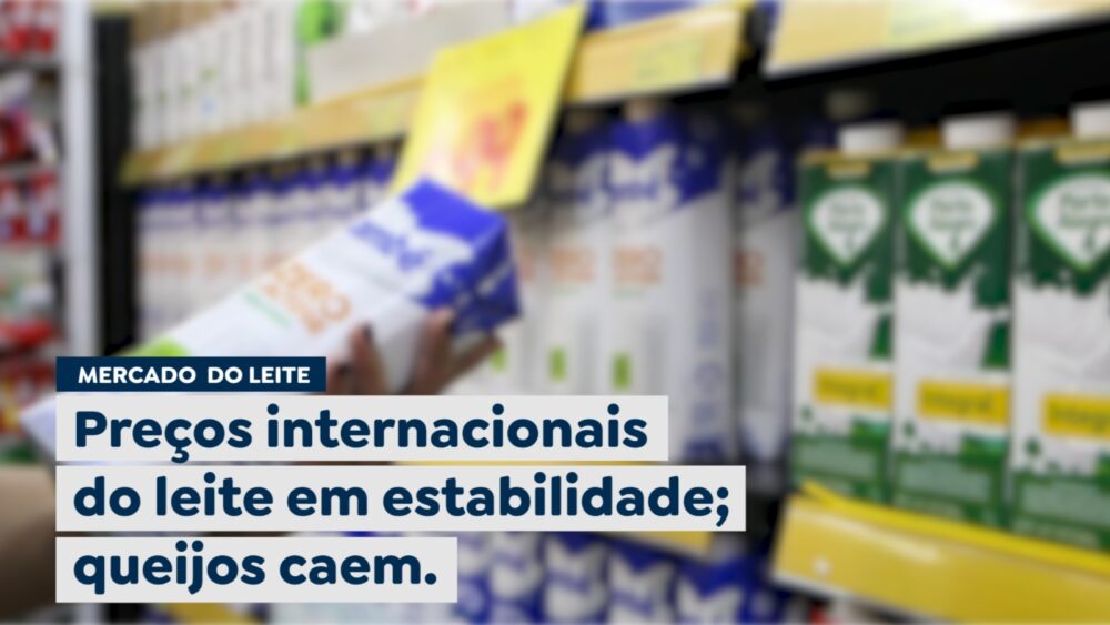 Preços internacionais do leite em estabilidade; queijos caem