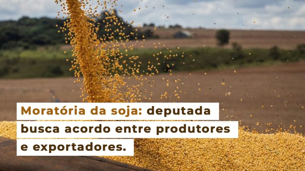 Moratória da soja: deputada busca acordo entre produtores e exportadores