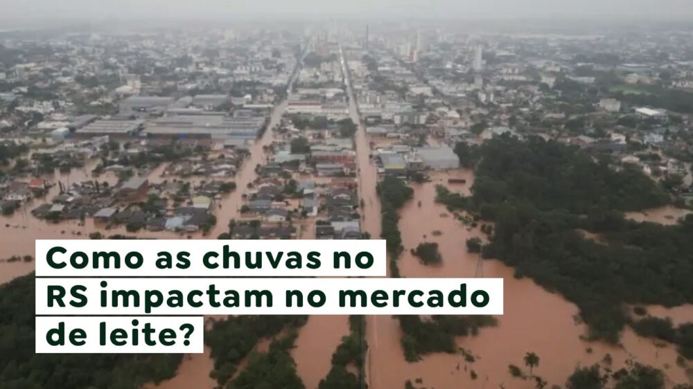 Como as chuvas no RS impactam no mercado de leite?