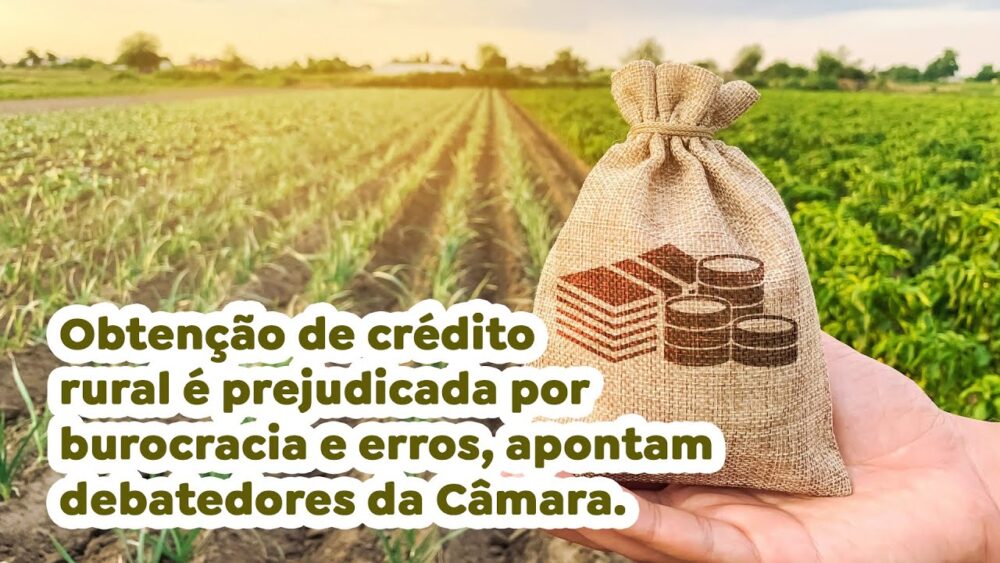 Obtenção de crédito rural é prejudicada por burocracia e erros, apontam debatedores da Câmara