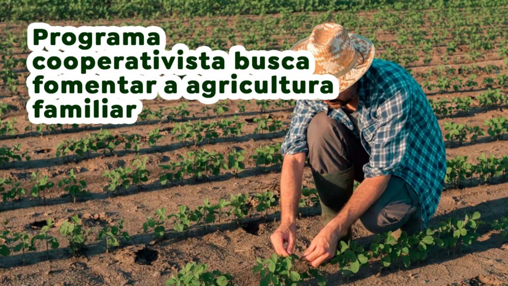 Programa cooperativista busca fomentar a agricultura familiar