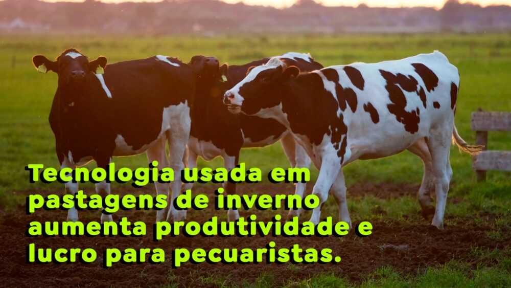 Tecnologia usada em pastagens de inverno aumenta produtividade e lucro para pecuaristas