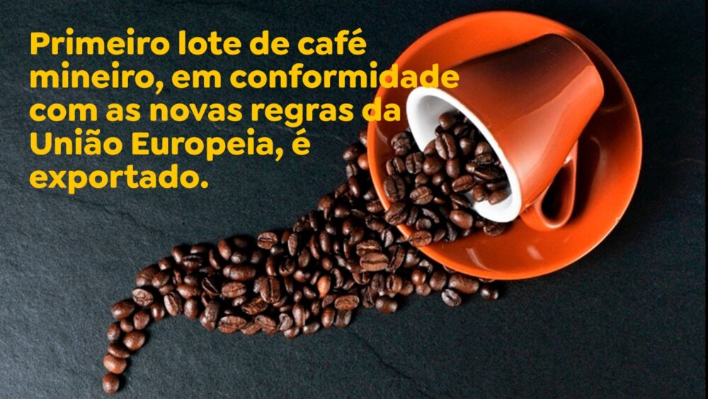 Primeiro lote de café mineiro, em conformidade com as novas regras da União Europeia, é exportado