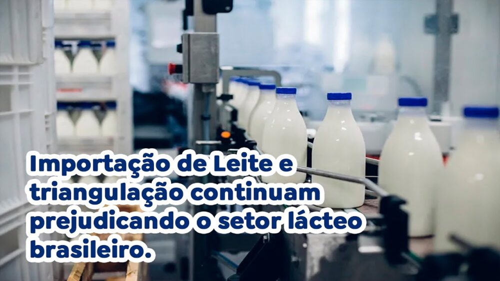 Importação de Leite e triangulação continuam prejudicando o setor lácteo brasileiro