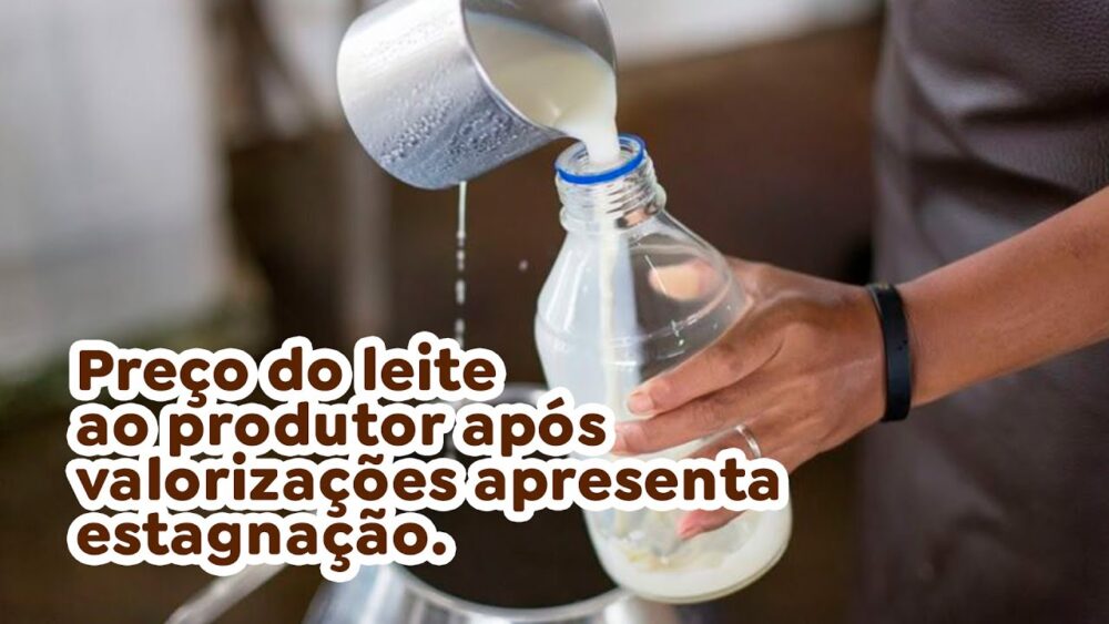 Preço do leite ao produtor após valorizações apresenta estagnação