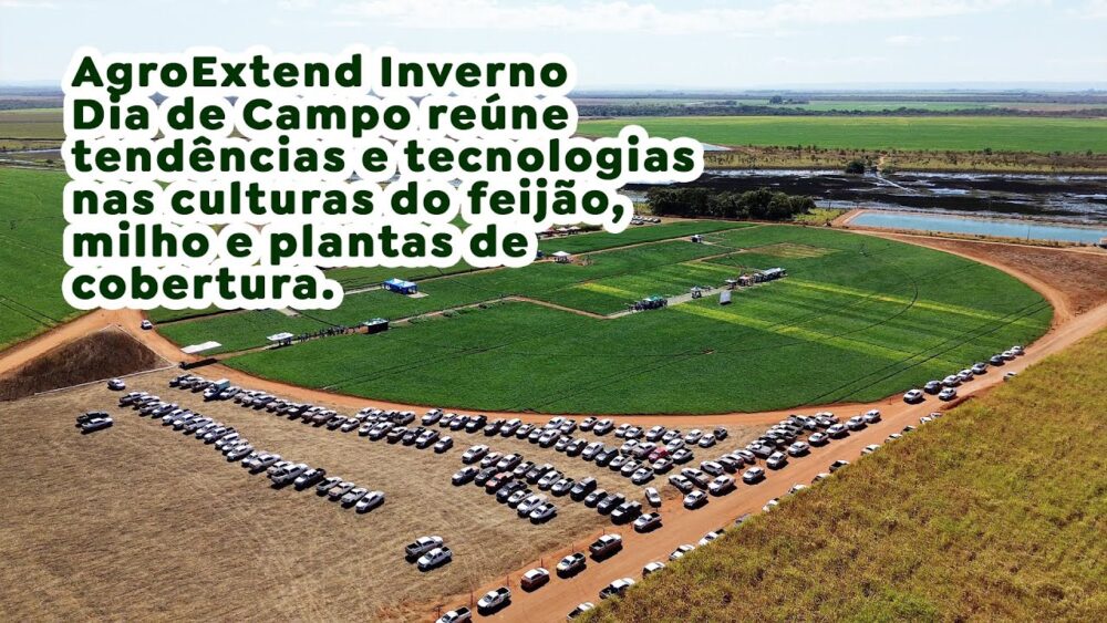 AgroExtend Inverno - Dia de Campo reúne tendências e tecnologias nas culturas do feijão, milho e plantas de cobertura