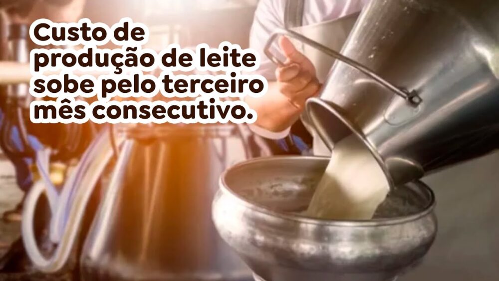 Custo de produção de leite sobe pelo terceiro mês consecutivo