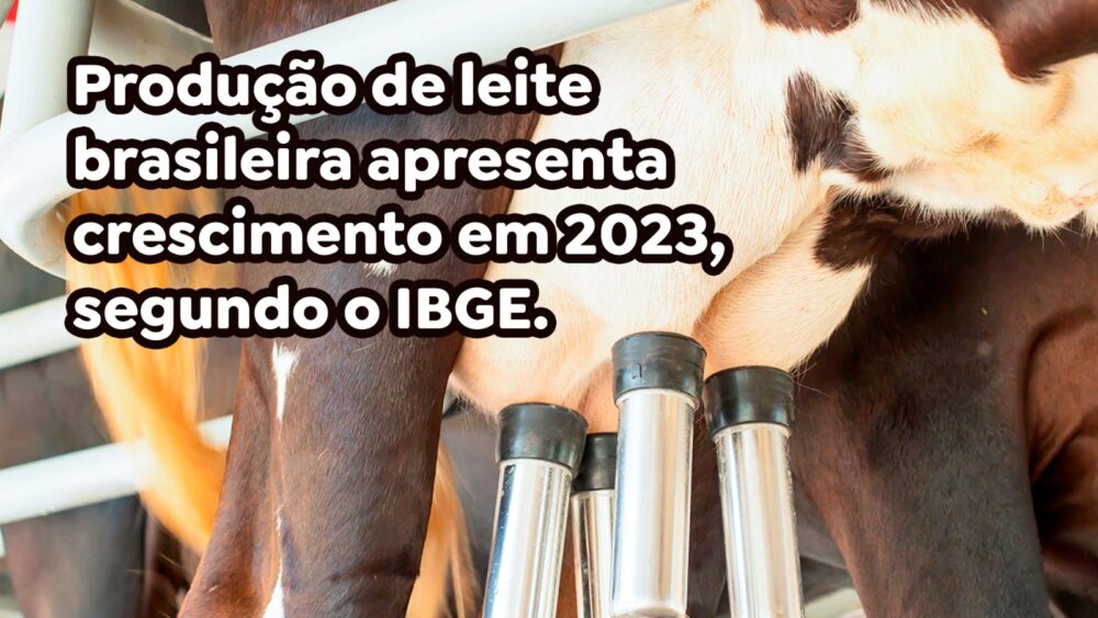 Produção de leite brasileira apresenta crescimento em 2023, segundo o IBGE