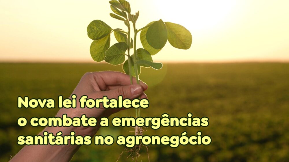 Nova lei fortalece o combate a emergências sanitárias no agronegócio.