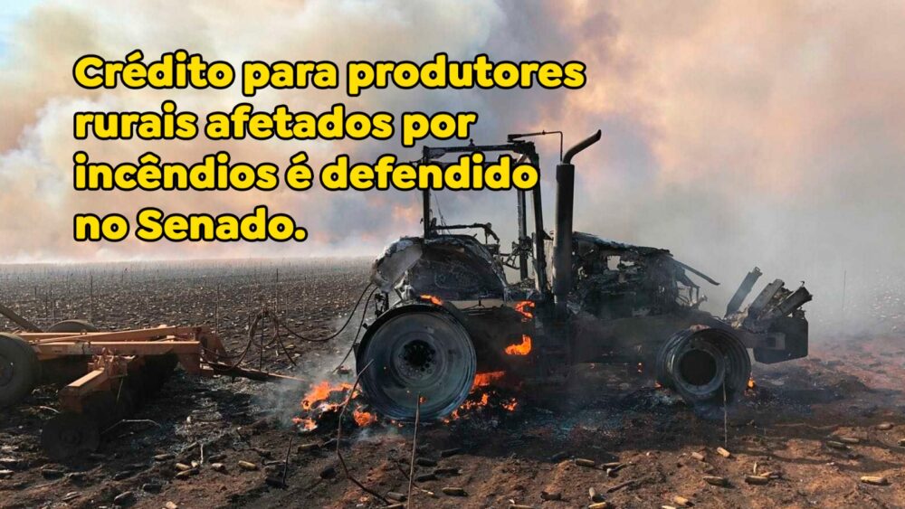 Crédito para produtores rurais afetados por incêndios é defendido no Senado