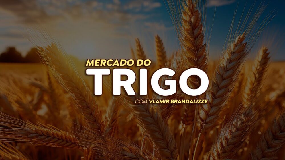 Plantio do trigo nos EUA atrasa e mercado tem novo fundamento de alta.