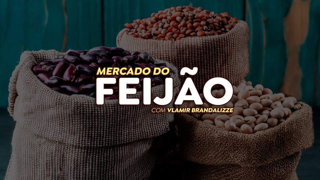 Frente fria em áreas de feijão preocupa produtores