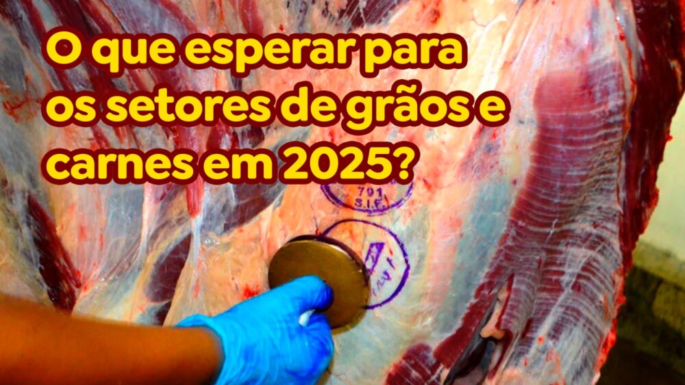 O que esperar para os setores de grãos e carnes em 2025?