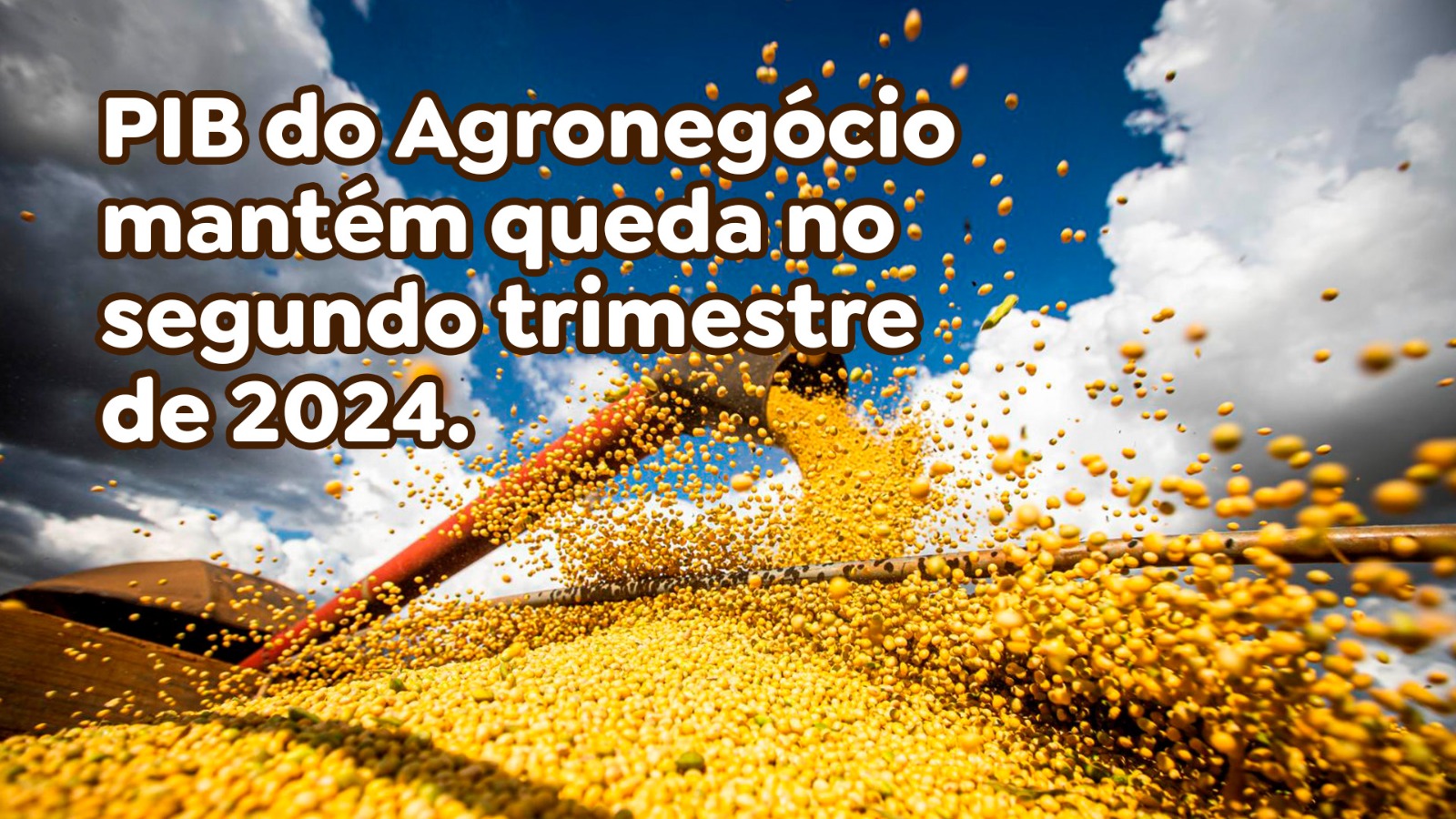 PIB do Agronegócio mantém queda no segundo trimestre de 2024