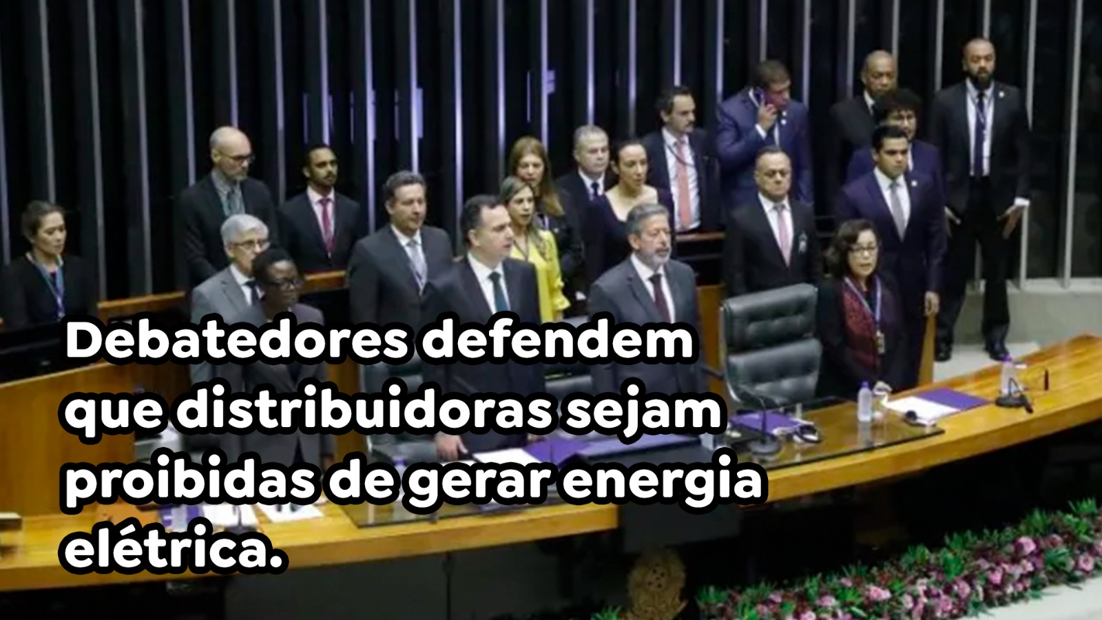 Debatedores defendem que distribuidoras sejam proibidas de gerar energia elétrica