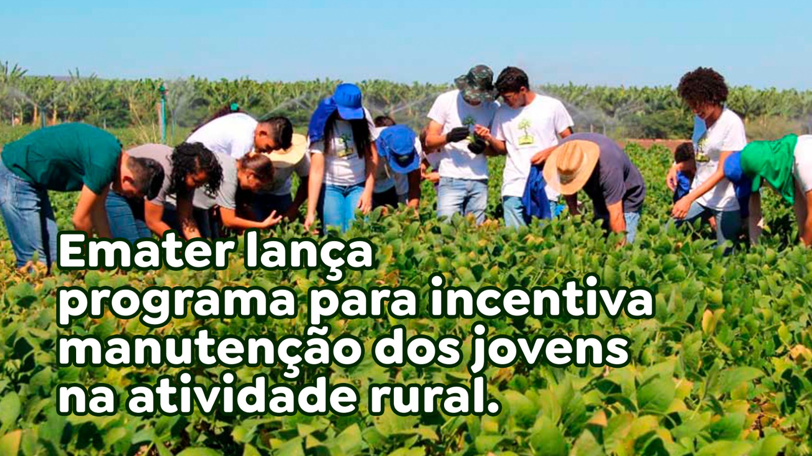 Emater lança programa para incentivar manutenção dos jovens na atividade rural