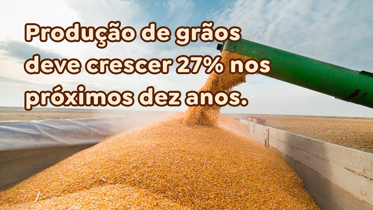 Produção de grãos deve crescer 27% nos próximos dez anos