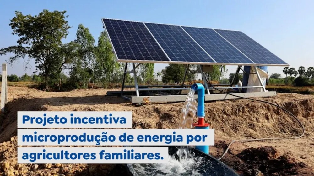 Retrospectiva – Top 5 Janeiro 2024 - Projeto incentiva microprodução de energia por agricultores familiares